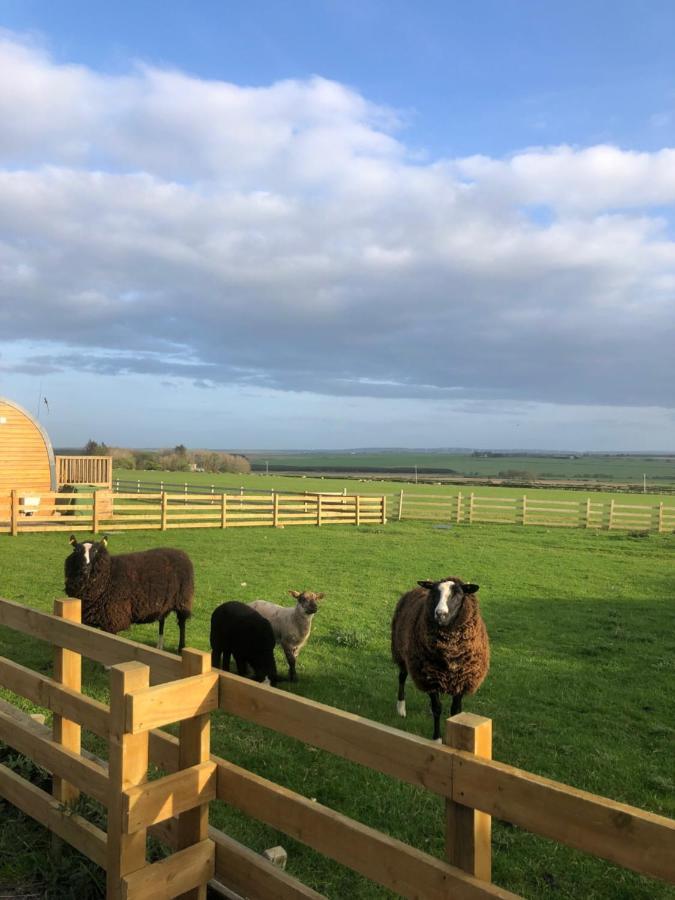 Caithness View Luxury Farm Lodges And Bbq Huts Уик Экстерьер фото
